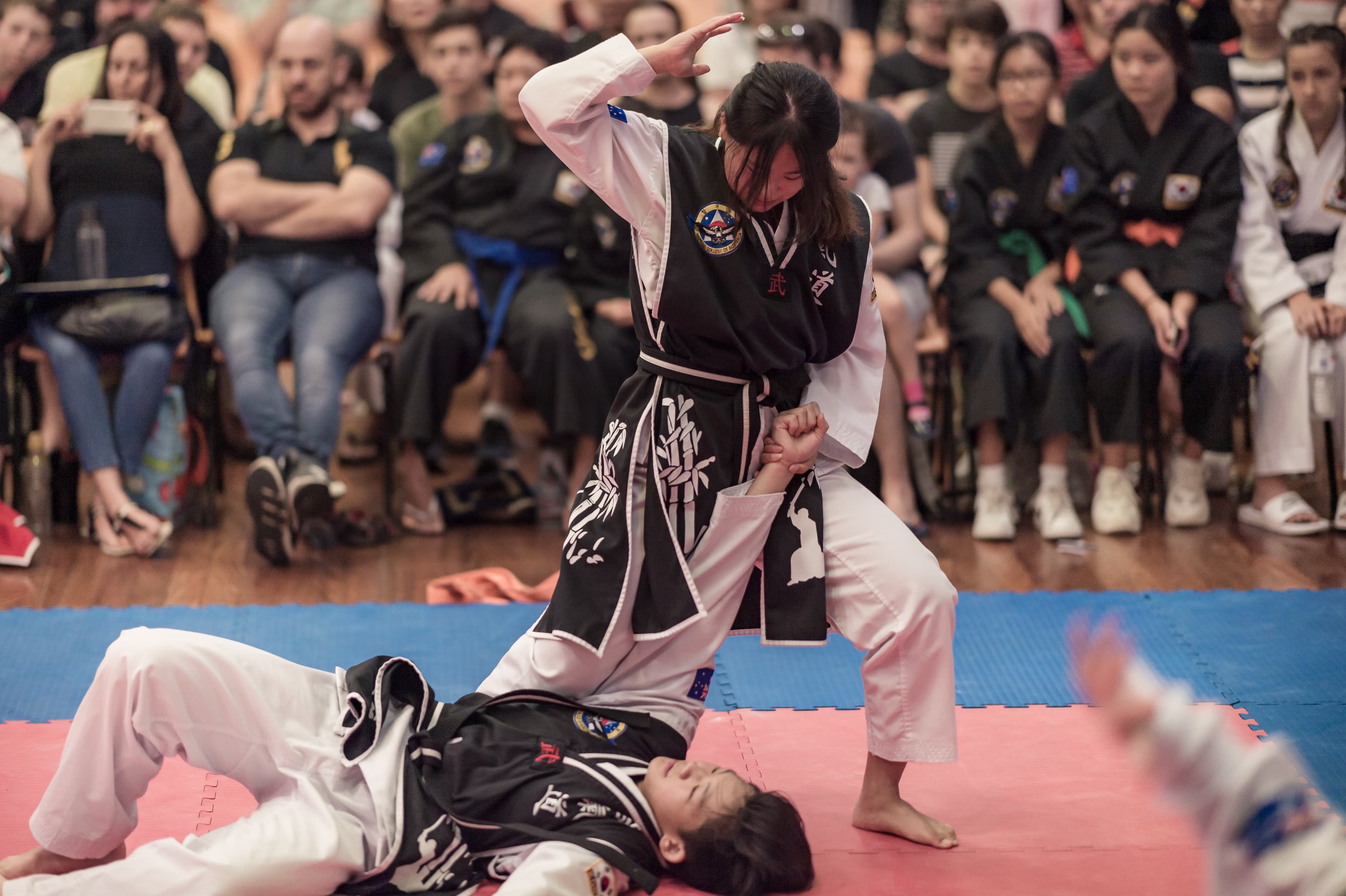 Technical Overview of Hapkido